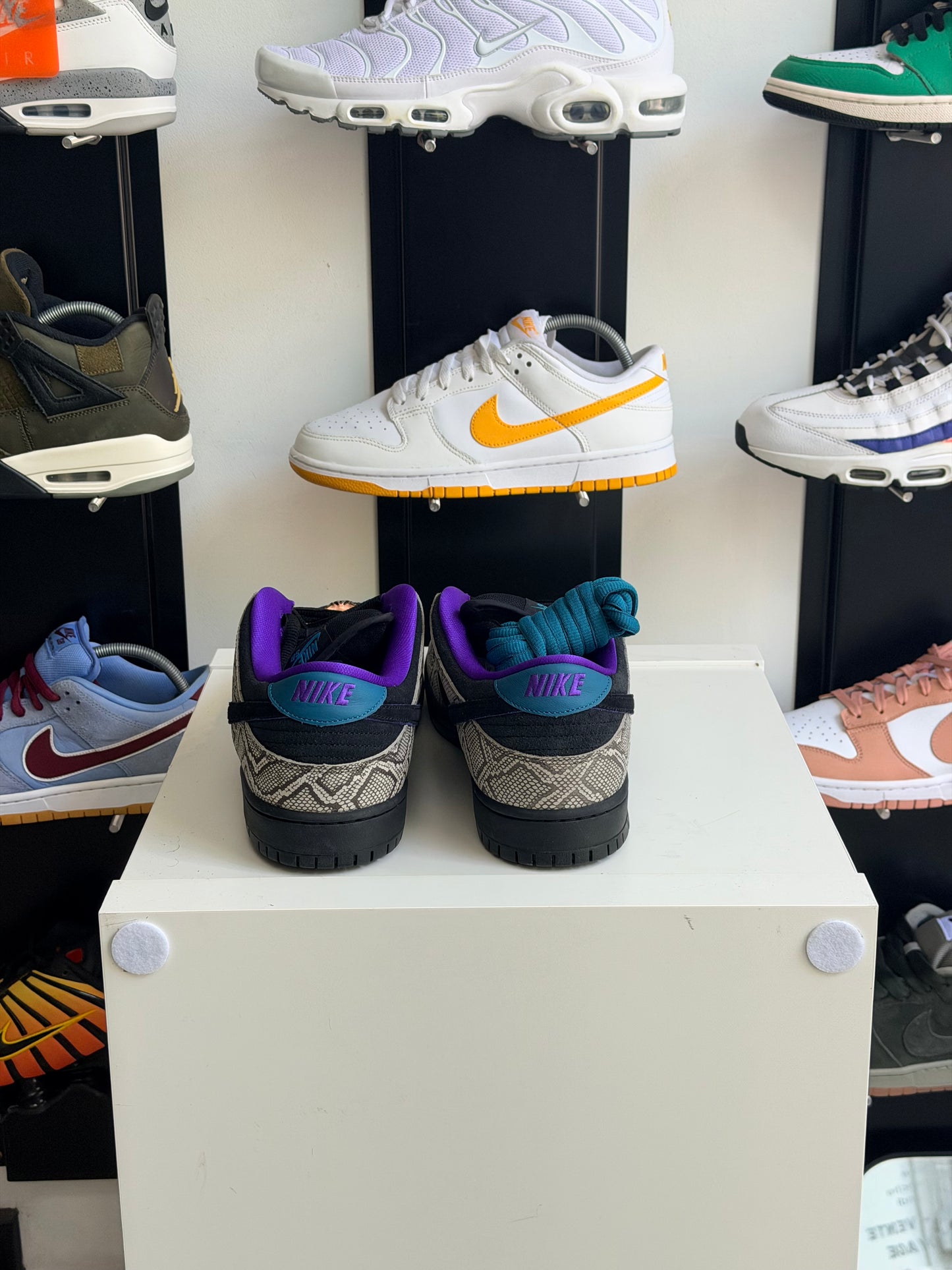 Dunk sb Dashawn - TAILLE 47,5