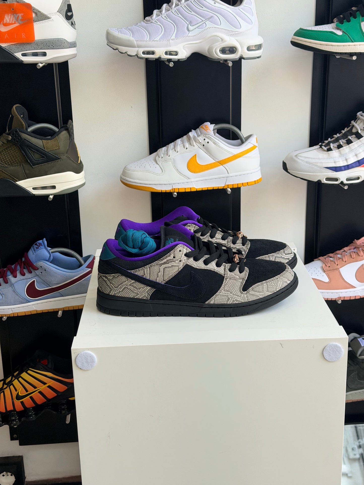 Dunk sb Dashawn - TAILLE 47,5