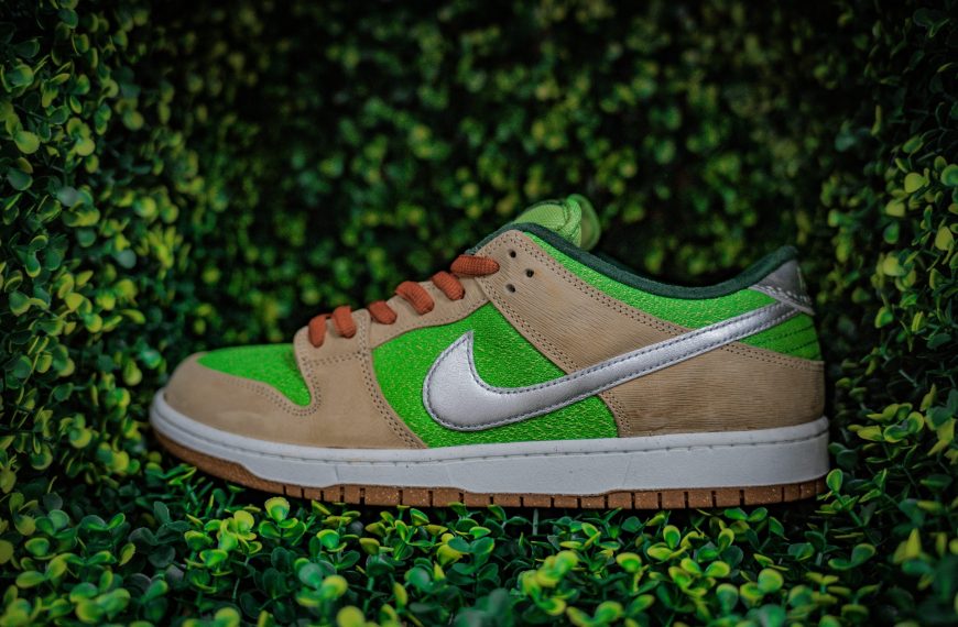 Nike Dunk sb escargot – 109€