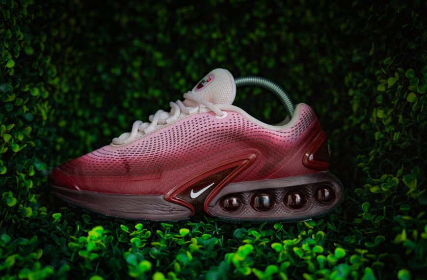 Air Max DN Rose – 79€